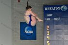 Diving vs Babson  Wheaton College Diving vs Babson College. - Photo By: KEITH NORDSTROM : Wheaton, Diving